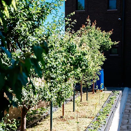 Villa River House Belgrado